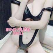 ヒメ日記 2025/08/31 14:42 投稿 けい ホワイトベル