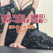 ヒメ日記 2025/10/25 11:42 投稿 けい ホワイトベル