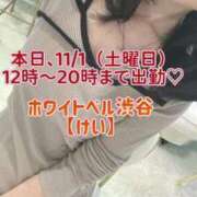 ヒメ日記 2025/11/01 10:22 投稿 けい ホワイトベル