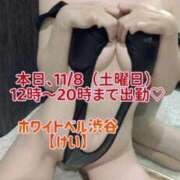 ヒメ日記 2025/11/08 11:32 投稿 けい ホワイトベル