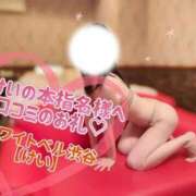 ヒメ日記 2025/11/09 22:42 投稿 けい ホワイトベル