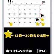 ヒメ日記 2025/11/21 23:32 投稿 けい ホワイトベル