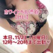 ヒメ日記 2025/11/23 11:42 投稿 けい ホワイトベル