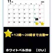 ヒメ日記 2025/11/28 00:41 投稿 けい ホワイトベル