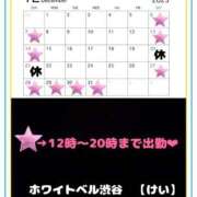 ヒメ日記 2025/11/29 01:22 投稿 けい ホワイトベル