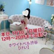 ヒメ日記 2025/11/30 11:42 投稿 けい ホワイトベル