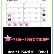 ヒメ日記 2025/12/12 16:52 投稿 けい ホワイトベル