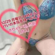 ヒメ日記 2025/12/30 11:02 投稿 けい ホワイトベル