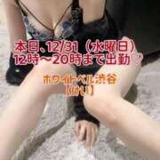 ヒメ日記 2025/12/31 11:37 投稿 けい ホワイトベル