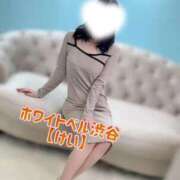 ヒメ日記 2026/01/10 15:02 投稿 けい ホワイトベル