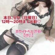 けい 😣昨日は風が強かったねー ホワイトベル