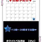 ヒメ日記 2026/01/30 20:32 投稿 けい ホワイトベル