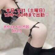 ヒメ日記 2026/01/31 11:32 投稿 けい ホワイトベル