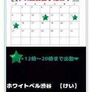 ヒメ日記 2026/02/10 10:42 投稿 けい ホワイトベル