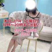 ヒメ日記 2026/02/14 11:42 投稿 けい ホワイトベル