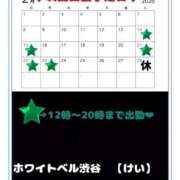 ヒメ日記 2026/02/14 16:12 投稿 けい ホワイトベル