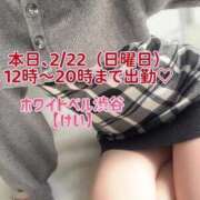 ヒメ日記 2026/02/22 11:32 投稿 けい ホワイトベル