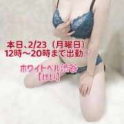 ヒメ日記 2026/02/23 11:32 投稿 けい ホワイトベル