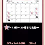 ヒメ日記 2026/03/14 15:22 投稿 けい ホワイトベル