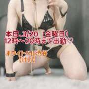 ヒメ日記 2026/03/20 11:42 投稿 けい ホワイトベル