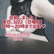 ヒメ日記 2026/03/22 11:42 投稿 けい ホワイトベル