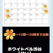 ヒメ日記 2026/04/11 00:42 投稿 けい ホワイトベル