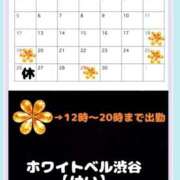 ヒメ日記 2026/04/18 15:42 投稿 けい ホワイトベル