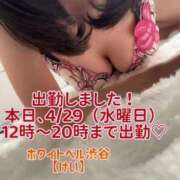 ヒメ日記 2026/04/29 11:49 投稿 けい ホワイトベル