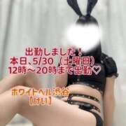 けい とうちゃーく！ ホワイトベル