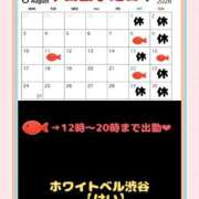 ヒメ日記 2026/07/26 17:48 投稿 けい ホワイトベル
