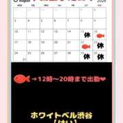ヒメ日記 2026/08/12 20:09 投稿 けい ホワイトベル