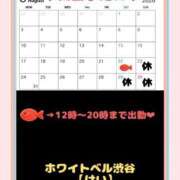 けい ♦️次回出勤予定♦️ ホワイトベル