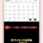 けい ♦️けいの今週の出番♦️ ホワイトベル