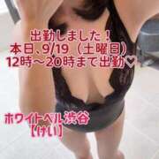 ヒメ日記 2026/09/19 11:49 投稿 けい ホワイトベル