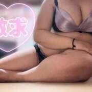 ヒメ日記 2025/05/30 19:29 投稿 めぐみ 多治見・土岐・春日井ちゃんこ