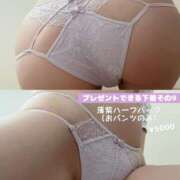 ヒメ日記 2025/12/04 10:19 投稿 りり アート姫