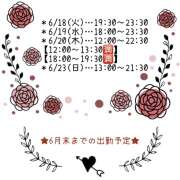 ヒメ日記 2024/06/15 14:00 投稿 りか 横浜人妻セレブリティ（ユメオト）