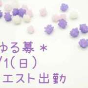 ヒメ日記 2024/11/29 08:34 投稿 りか 横浜人妻セレブリティ（ユメオト）