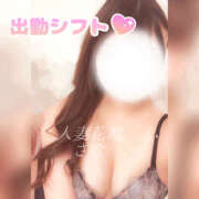 ヒメ日記 2025/11/04 19:36 投稿 さな モアグループ 土浦人妻花壇