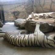 ヒメ日記 2025/06/05 10:43 投稿 まう【梅田堂山女学院】 梅田堂山女学院