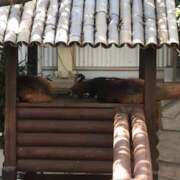 ヒメ日記 2025/08/15 11:58 投稿 まう【梅田堂山女学院】 梅田堂山女学院