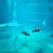 ヒメ日記 2025/10/07 12:55 投稿 まう【梅田堂山女学院】 梅田堂山女学院