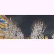 ヒメ日記 2025/12/28 10:33 投稿 まう【梅田堂山女学院】 梅田堂山女学院