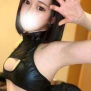 ヒメ日記 2025/03/02 17:36 投稿 そら ウィステリア～Wisteria～