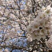 ヒメ日記 2025/04/01 06:00 投稿 さやか 佐賀人妻デリヘル 「デリ夫人」