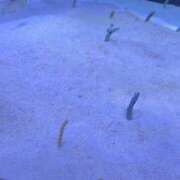 ヒメ日記 2025/04/17 14:45 投稿 さやか 佐賀人妻デリヘル 「デリ夫人」