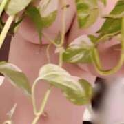 ヒメ日記 2025/05/04 08:02 投稿 さやか 佐賀人妻デリヘル 「デリ夫人」