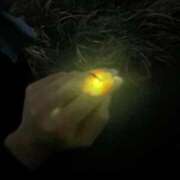 ヒメ日記 2025/05/17 20:30 投稿 さやか 佐賀人妻デリヘル 「デリ夫人」