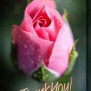 ヒメ日記 2025/07/23 18:03 投稿 さやか 佐賀人妻デリヘル 「デリ夫人」