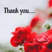 ヒメ日記 2025/07/25 17:30 投稿 さやか 佐賀人妻デリヘル 「デリ夫人」